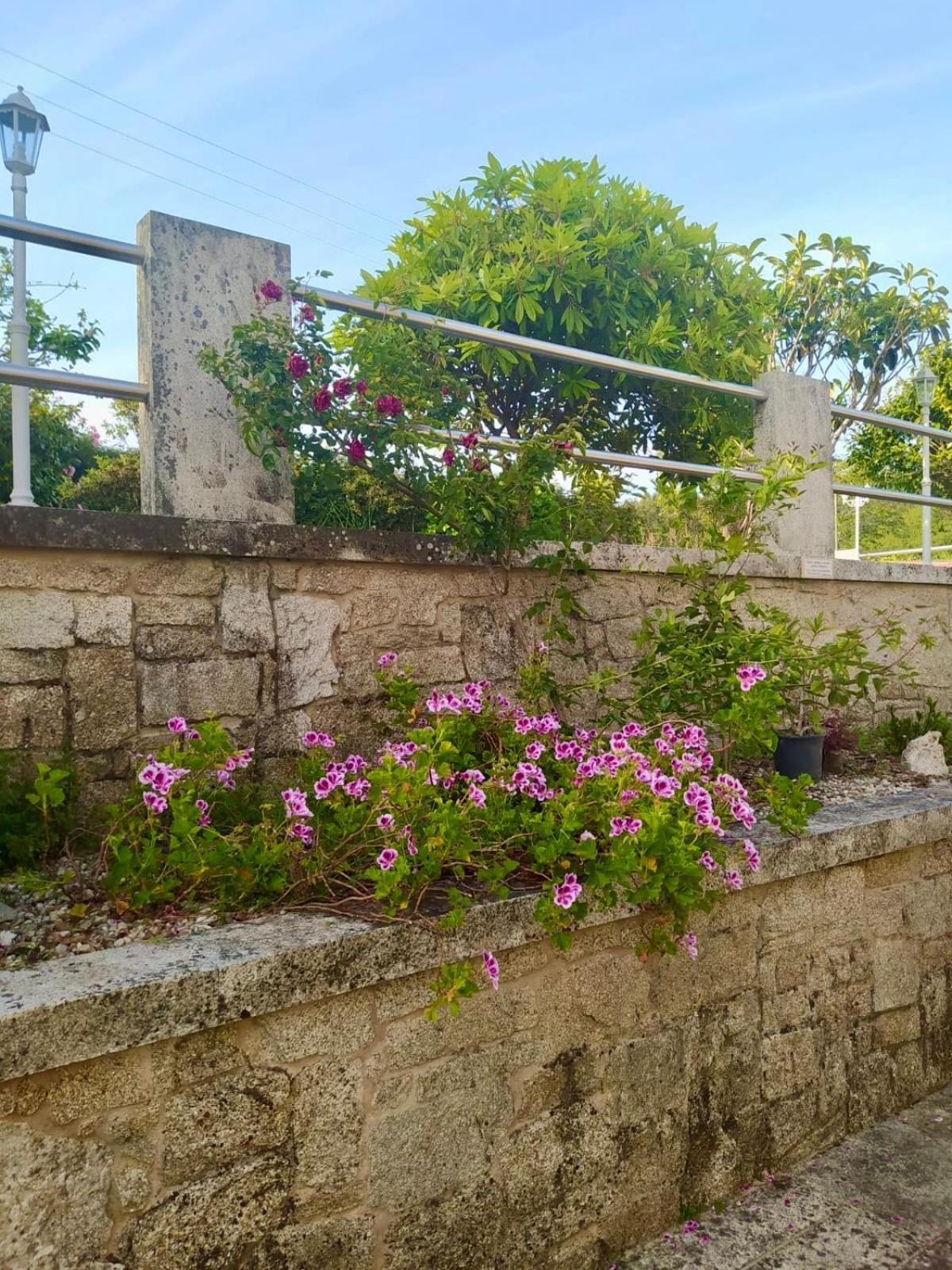 Apartamento Con Jardin Y Piscina Temporada Verano Privados Samieira Exteriér fotografie